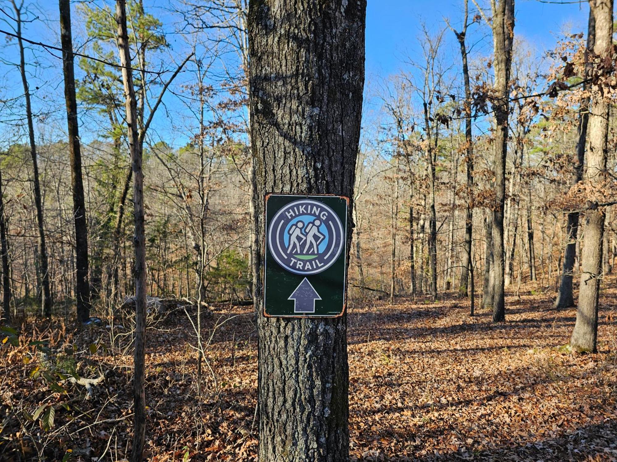 5 Min To Beaver Lake-King Bed-Fire Pit-Jetted Tub #5 尤里卡斯普林斯 外观 照片