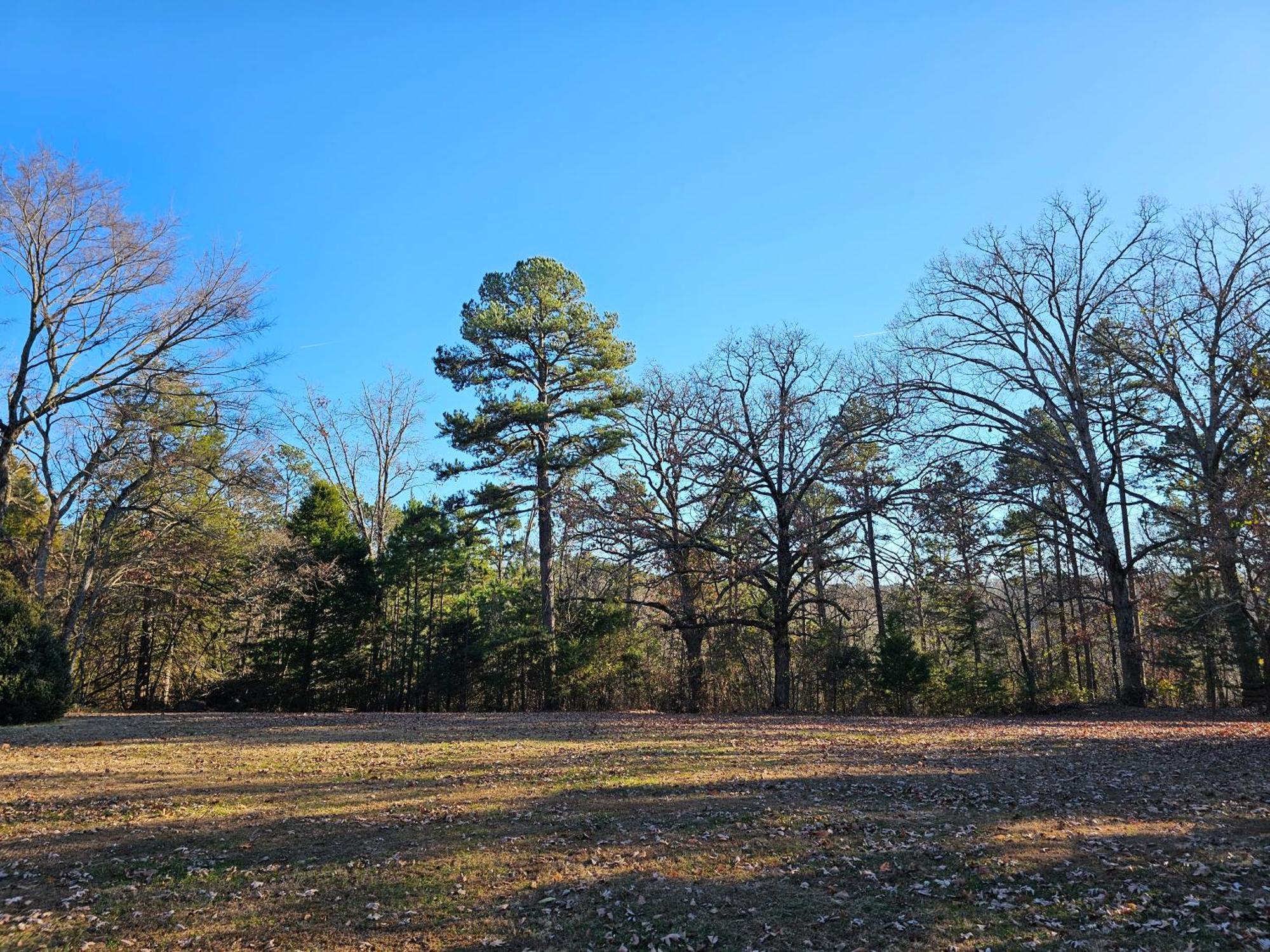 5 Min To Beaver Lake-King Bed-Fire Pit-Jetted Tub #5 尤里卡斯普林斯 外观 照片